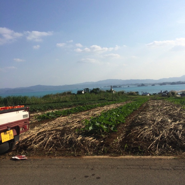 古宇利島の海きれいすぎ。沖縄で行った観光地まとめ image 4