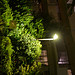 Lumix DMC-GF1到着！ image 113