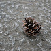 Lumix DMC-GF1到着！ image 56