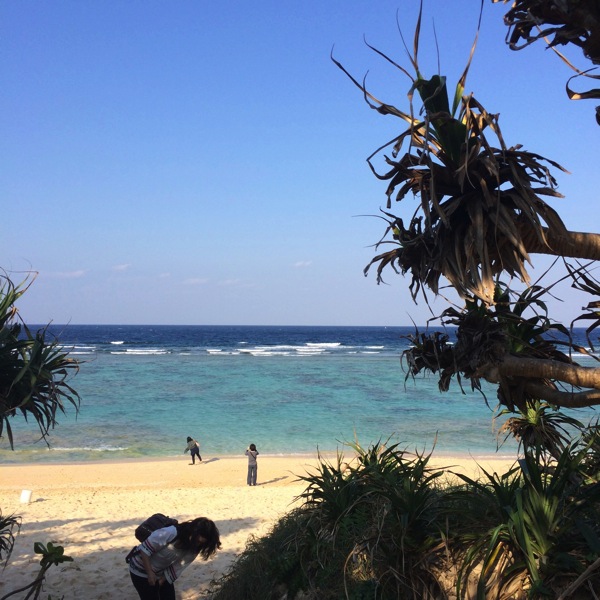 古宇利島の海きれいすぎ。沖縄で行った観光地まとめ image 5