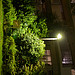 Lumix DMC-GF1到着！ image 114