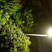 Lumix DMC-GF1到着！ image 115
