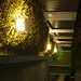 Lumix DMC-GF1到着！ image 67