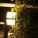 Lumix DMC-GF1到着！ image 63