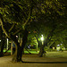 Lumix DMC-GF1到着！ image 121