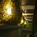 Lumix DMC-GF1到着！ image 66