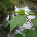 Lumix DMC-GF1到着！ image 46
