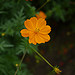 Lumix DMC-GF1到着！ image 43