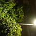 Lumix DMC-GF1到着！ image 116