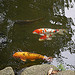 Lumix DMC-GF1到着！ image 45